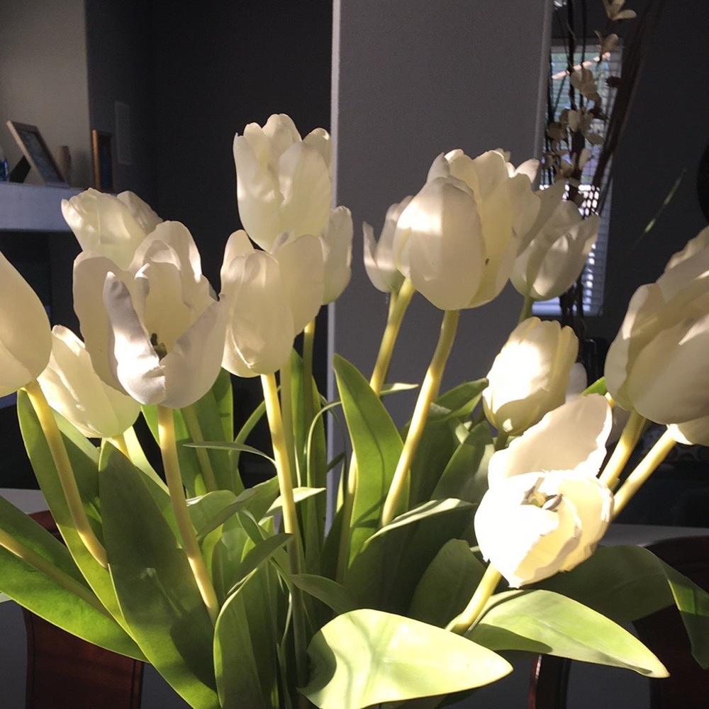 Meet your Posher, Modesta